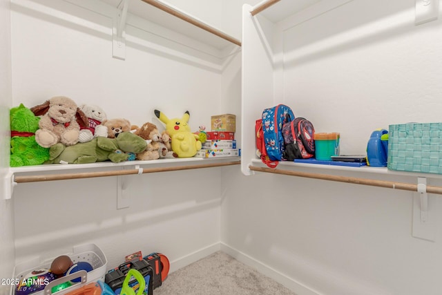 spacious closet featuring carpet