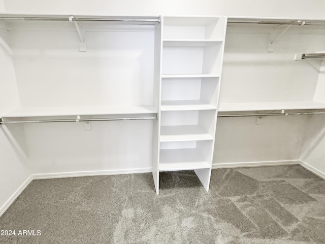 spacious closet with dark colored carpet