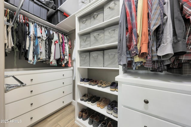 13236 W Montansoro Ln, Peoria, AZ 85383 - spacious closet featuring light wood-style floors