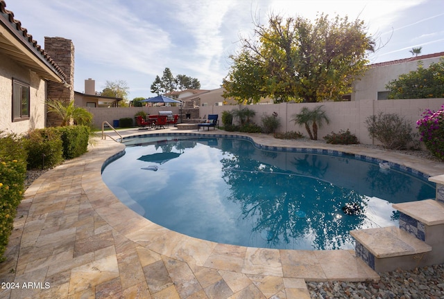 view of pool with a patio