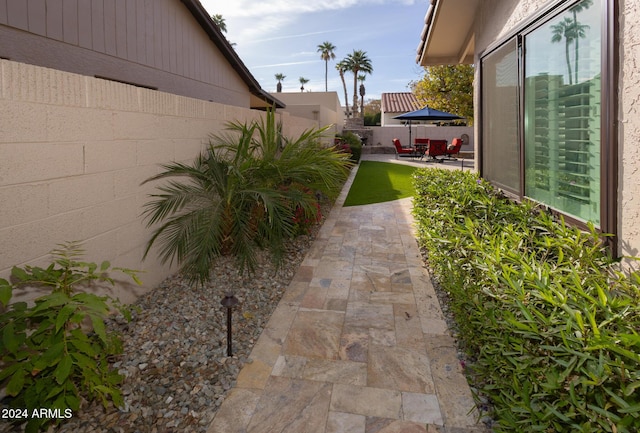 view of yard featuring a patio