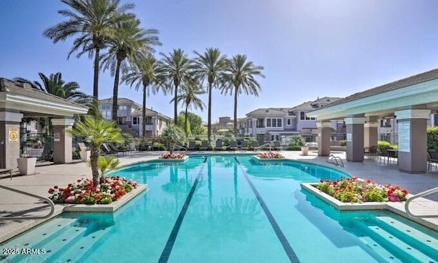 pool with a residential view and a patio