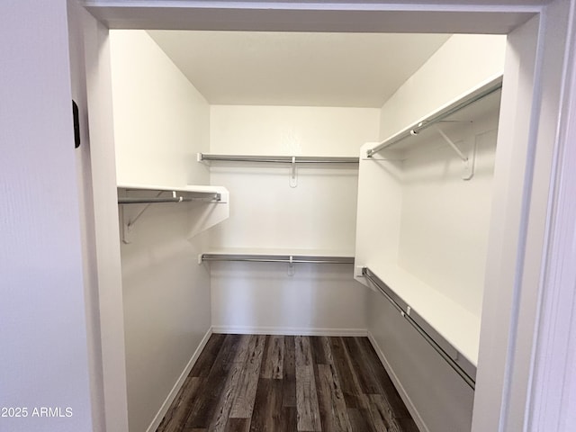 spacious closet featuring dark wood-style floors