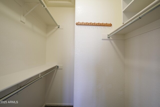 6942 S Championship Dr, Chandler, AZ 85249 - view of walk in closet