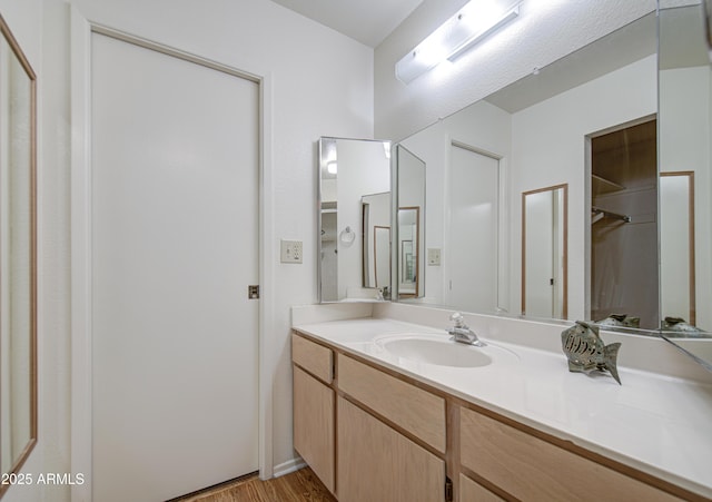 bathroom with vanity and wood finished floors