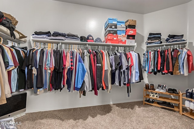 spacious closet featuring carpet