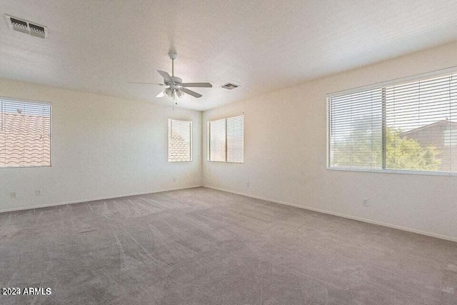 empty room with a textured ceiling, carpet floors, and a healthy amount of sunlight