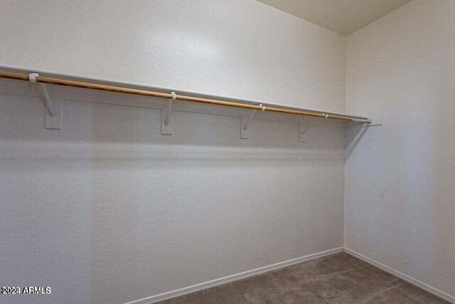 spacious closet featuring dark colored carpet