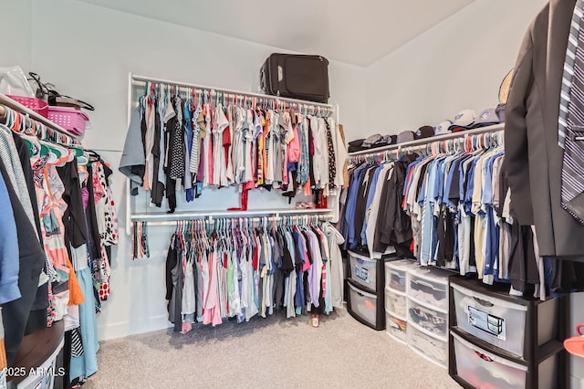 walk in closet with carpet