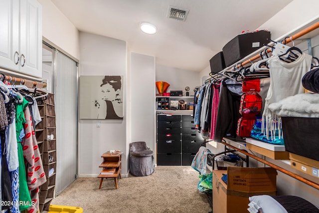 spacious closet with carpet floors