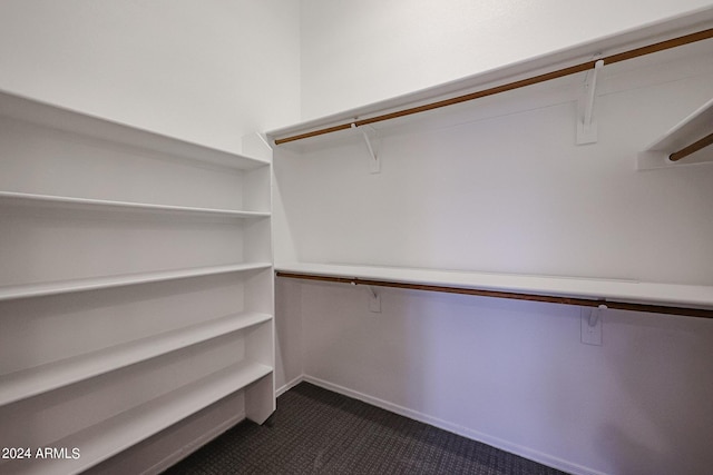 spacious closet featuring dark colored carpet