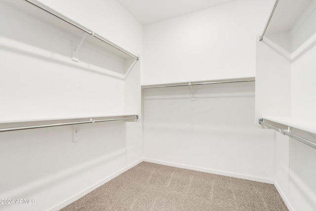 spacious closet with light carpet