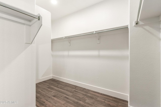 walk in closet with dark wood-type flooring