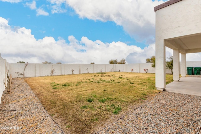 view of yard featuring a patio