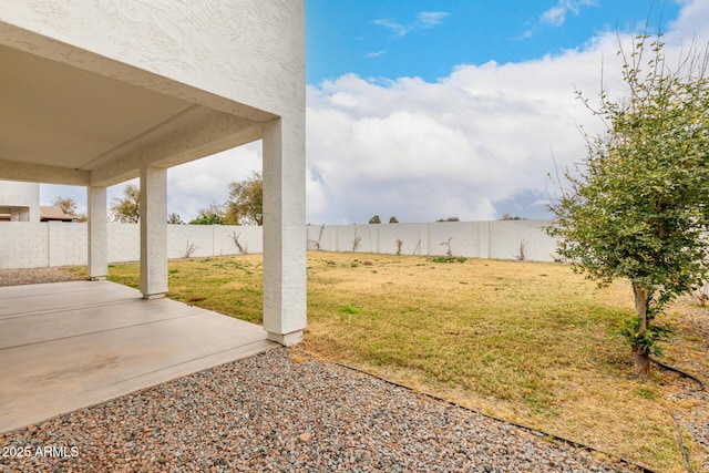 view of yard featuring a patio