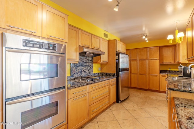 kitchen featuring backsplash, rail lighting, a sink, under cabinet range hood, and stainless steel appliances