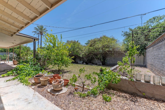 view of yard with a fenced backyard and a patio area