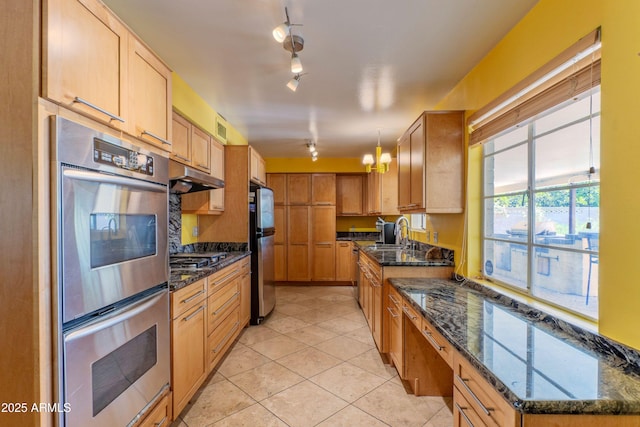kitchen with light tile patterned flooring, appliances with stainless steel finishes, a sink, rail lighting, and under cabinet range hood