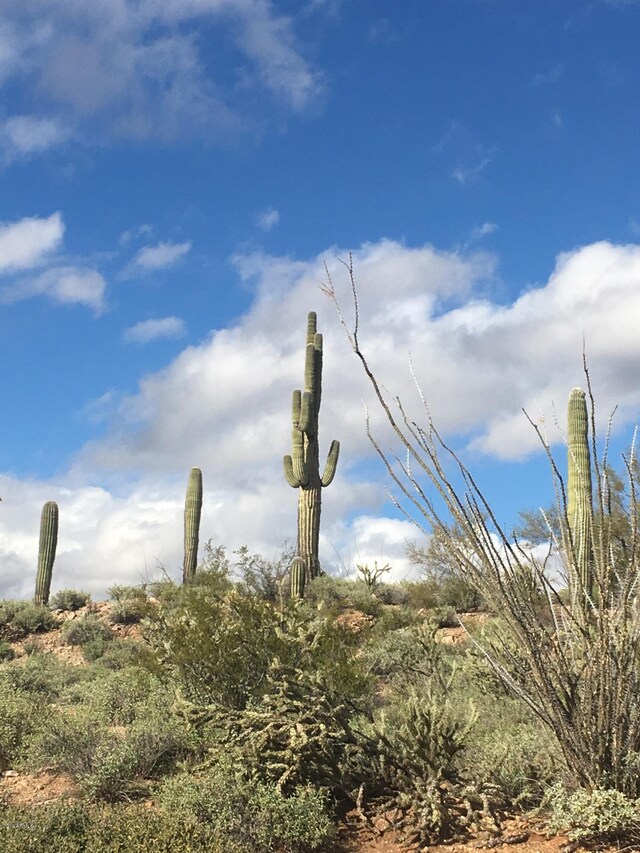 86.346AC Stonehedge Ranch Rd Unit 6, Wickenburg, AZ 85390