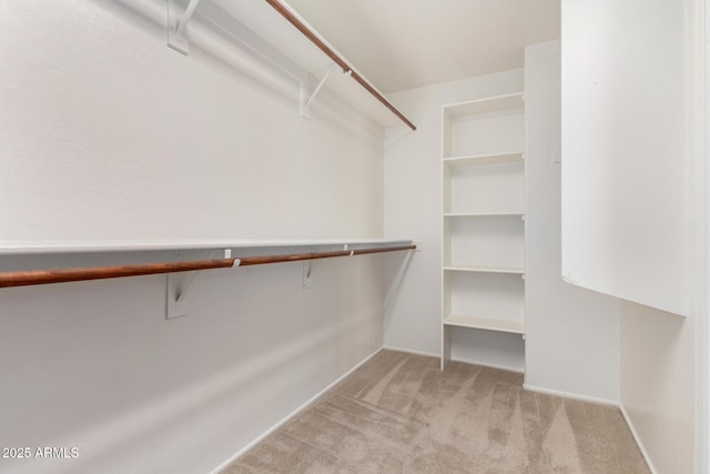 6510 S Hazelton Ln Unit 101, Tempe, AZ 85283 - spacious closet with light colored carpet