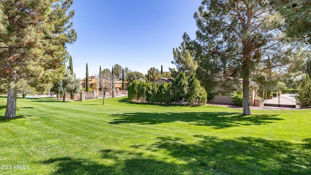 view of property's community with a lawn