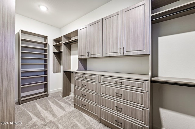 walk in closet with light colored carpet