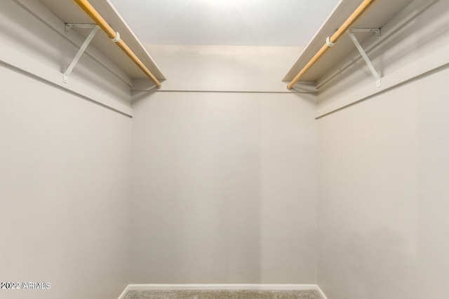 walk in closet featuring carpet floors