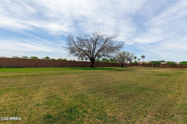 view of yard