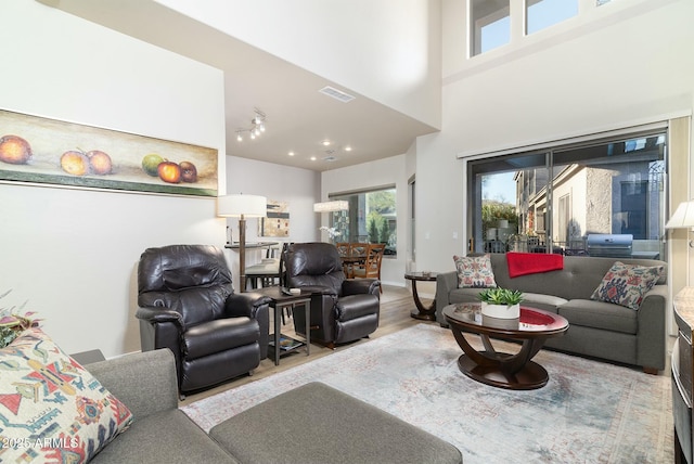 living room featuring hardwood / wood-style flooring and a high ceiling