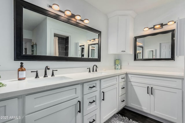 bathroom with double vanity, a sink, and wood finished floors