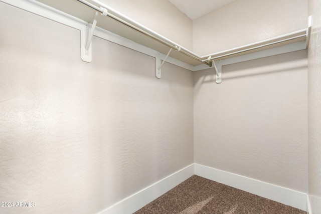 spacious closet with carpet floors