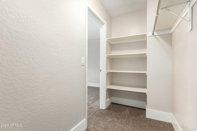 walk in closet featuring carpet floors