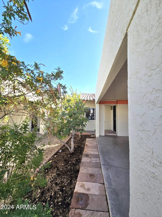 view of yard with a patio