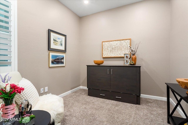 sitting room with light carpet