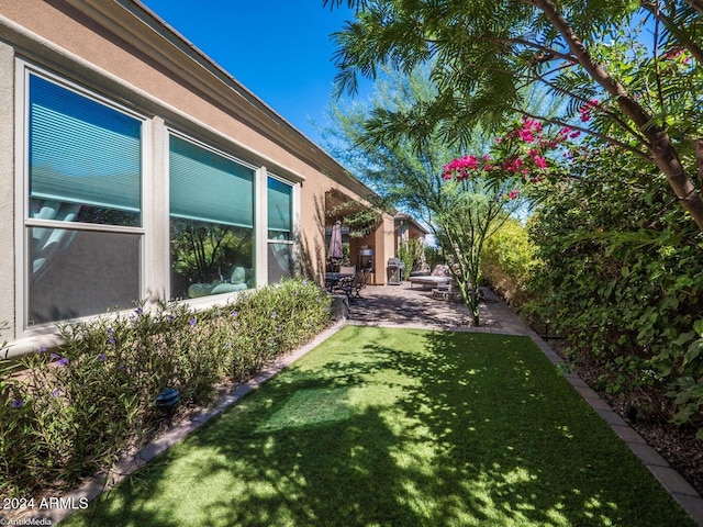 view of yard with a patio area