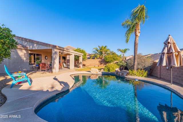 view of pool with a patio area