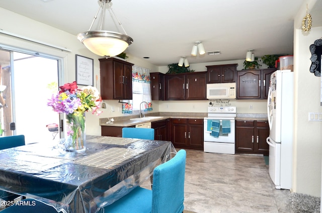 kitchen featuring white appliances, plenty of natural light, sink, and dark brown cabinets