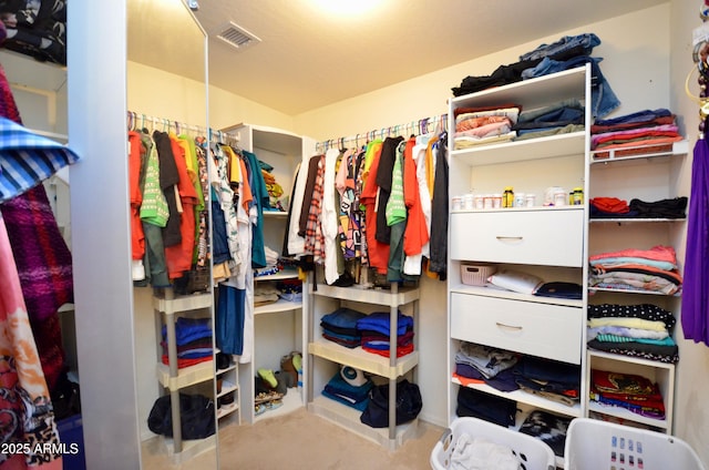 view of spacious closet