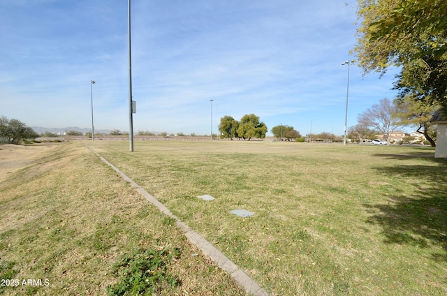 view of yard with a rural view