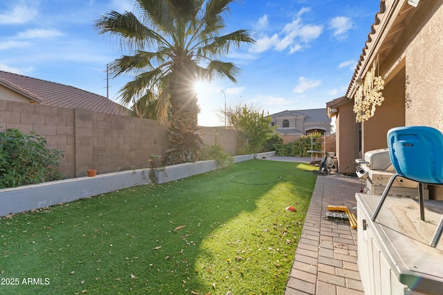 view of yard with a patio area