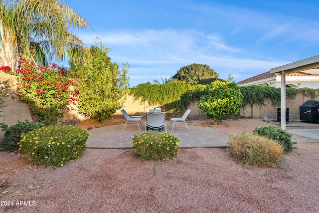 view of yard featuring a patio