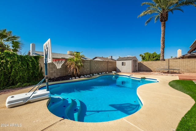 view of swimming pool with a patio, a diving board, and a storage unit