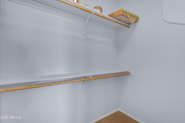 spacious closet featuring carpet floors