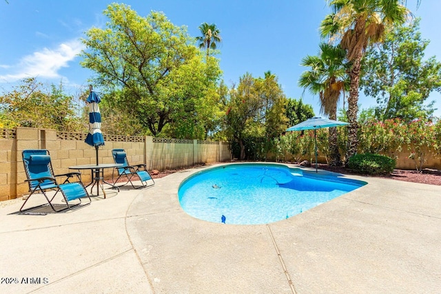 view of pool with a patio area