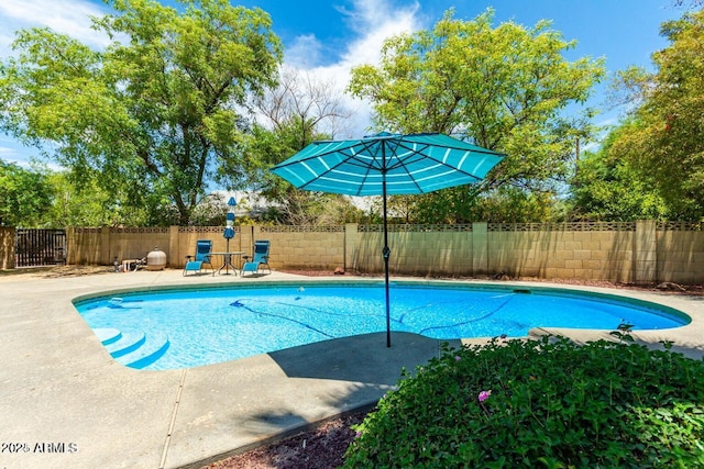 view of swimming pool featuring a patio area