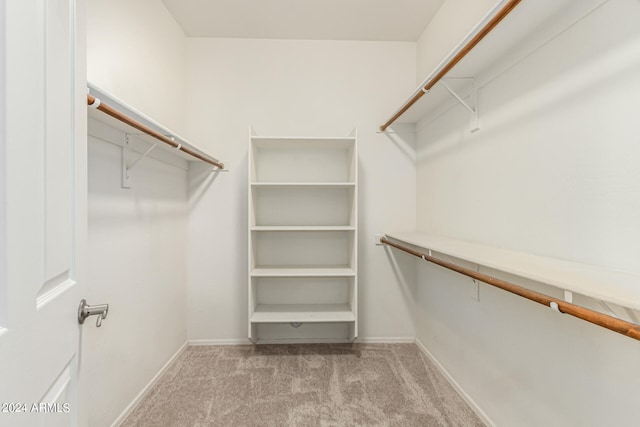 walk in closet featuring light colored carpet