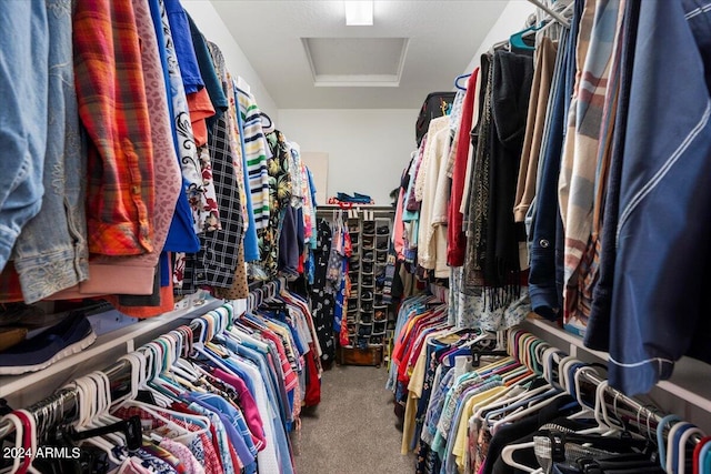 walk in closet with carpet floors and attic access