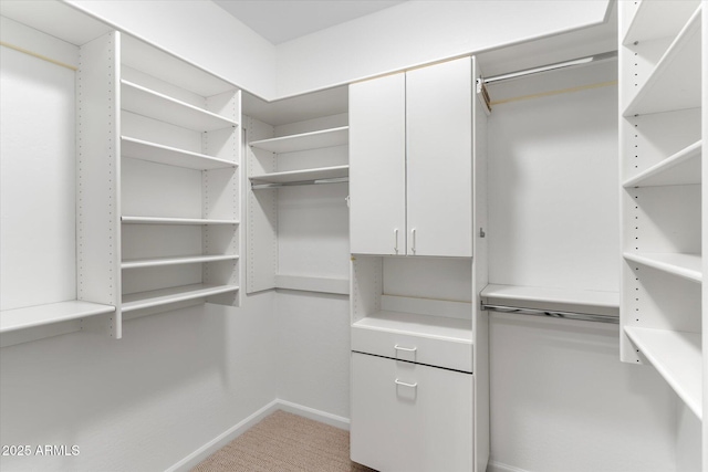 spacious closet with carpet floors