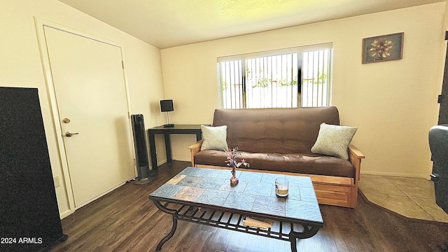 living area featuring dark hardwood / wood-style floors