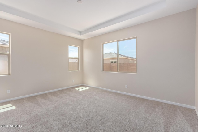 unfurnished room with baseboards, a tray ceiling, and carpet flooring